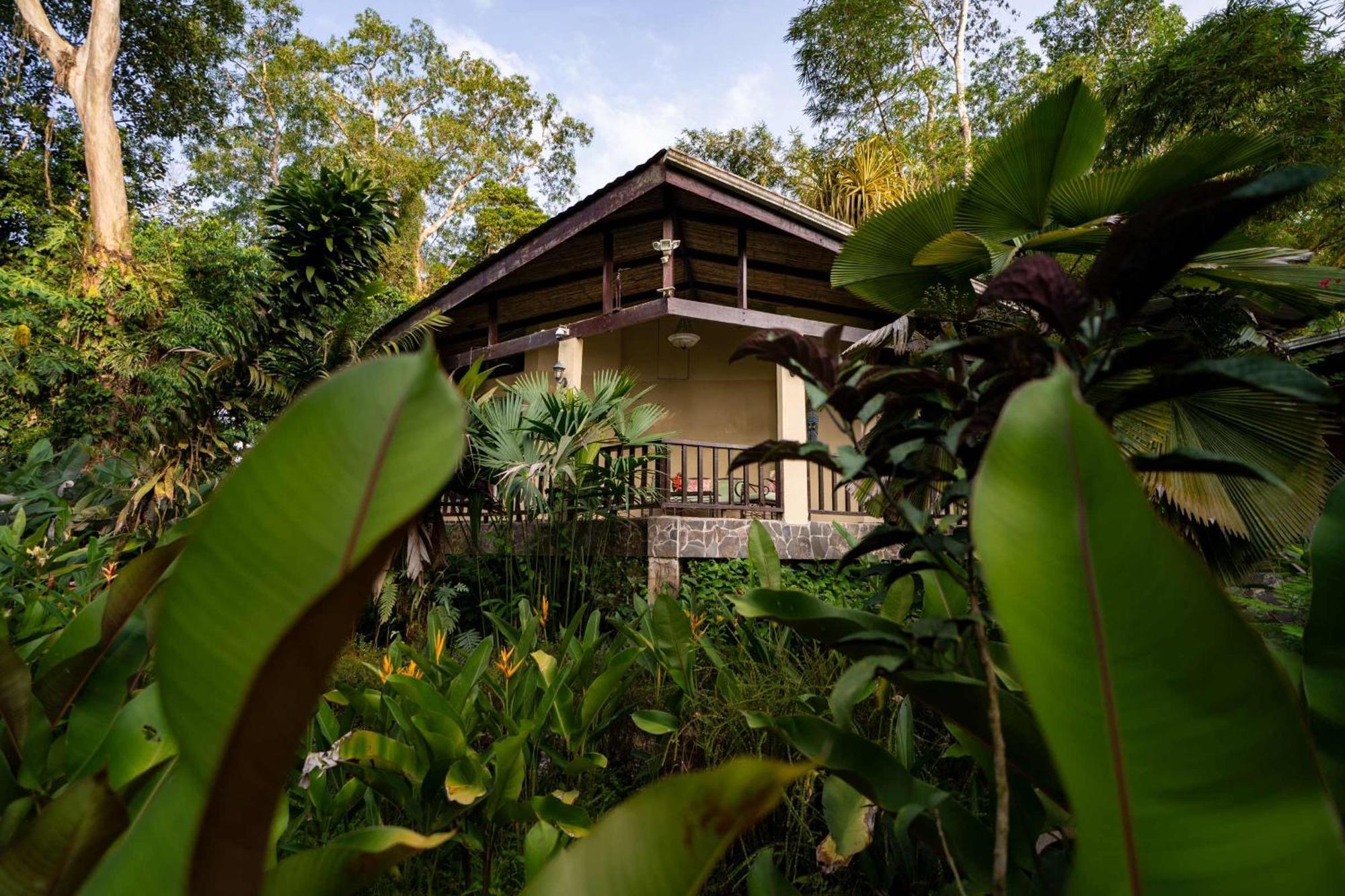 Bed and Breakfast Heliconia Island Las Horquetas Exterior foto