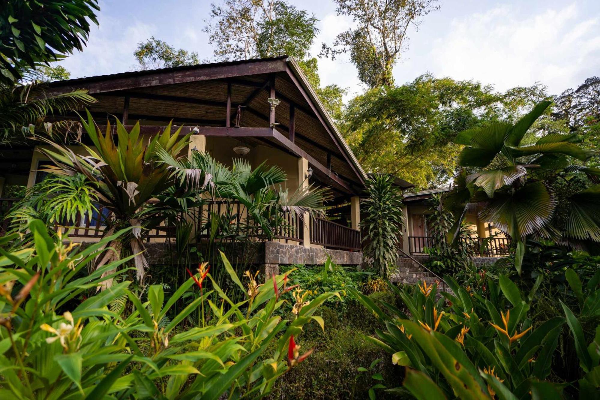 Bed and Breakfast Heliconia Island Las Horquetas Exterior foto