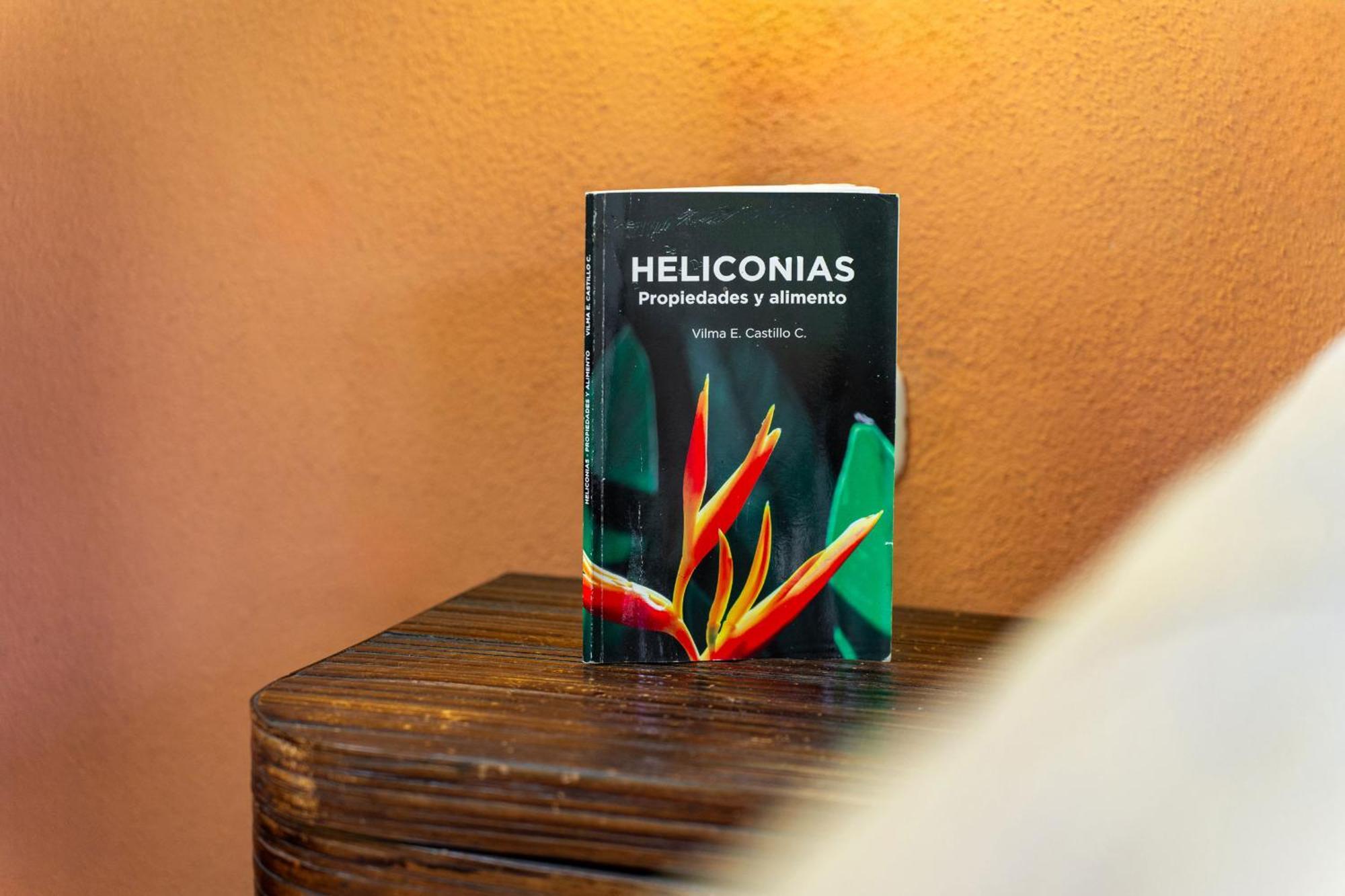 Bed and Breakfast Heliconia Island Las Horquetas Exterior foto