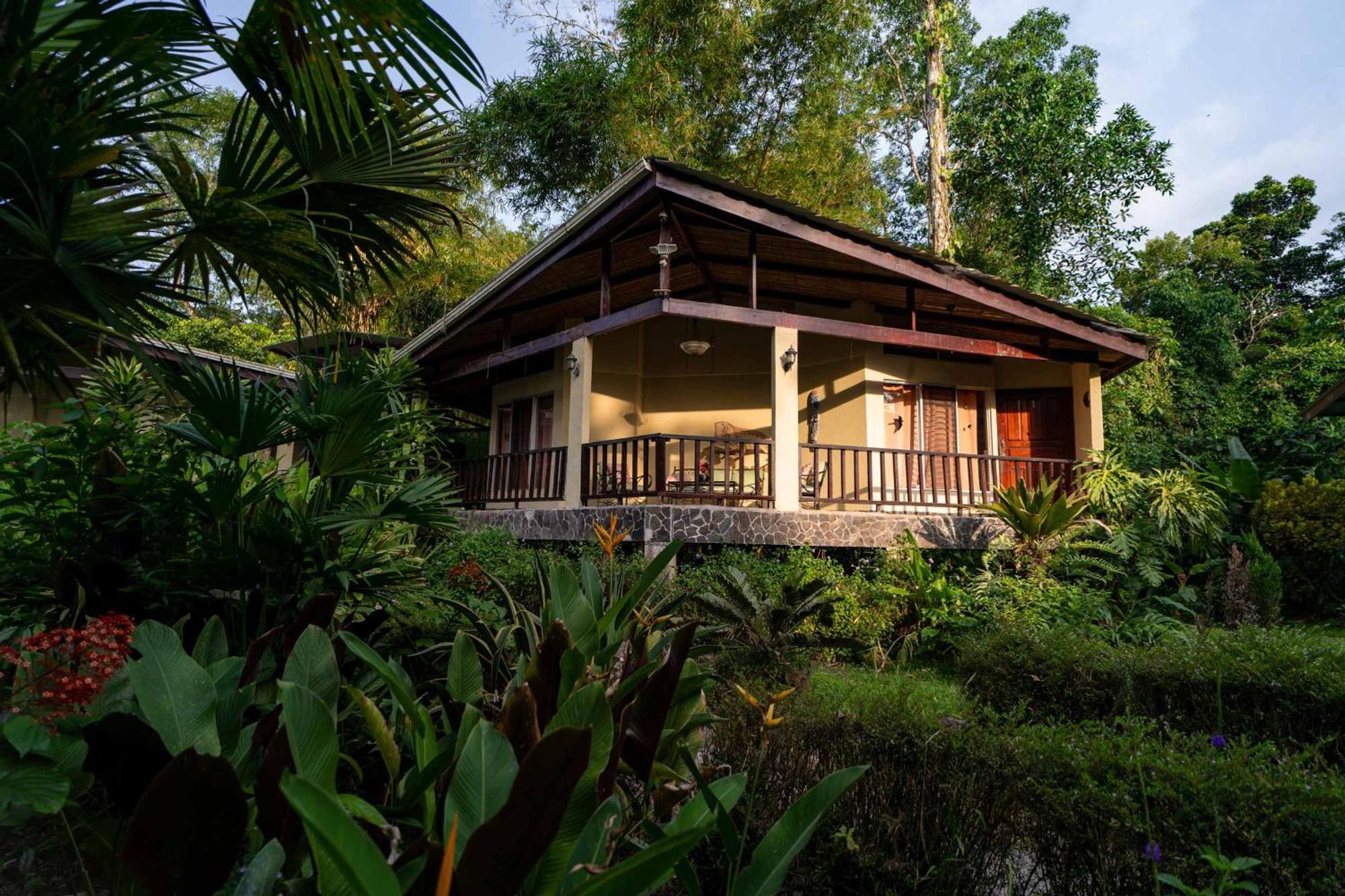 Bed and Breakfast Heliconia Island Las Horquetas Exterior foto