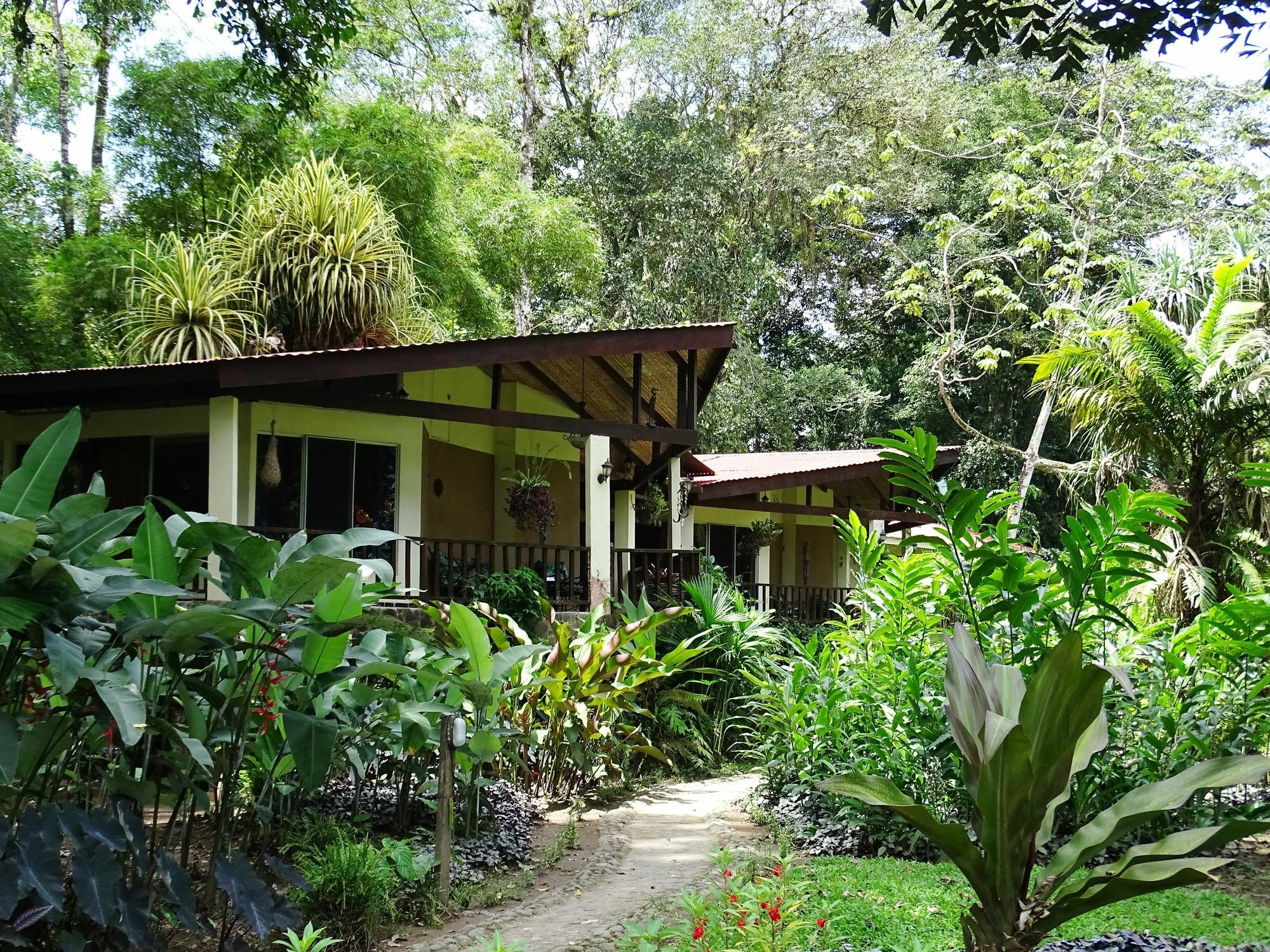 Bed and Breakfast Heliconia Island Las Horquetas Exterior foto